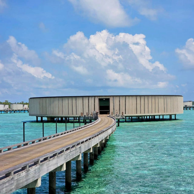 The Ritz-Carlton Maldives: A Dream in Every Detail