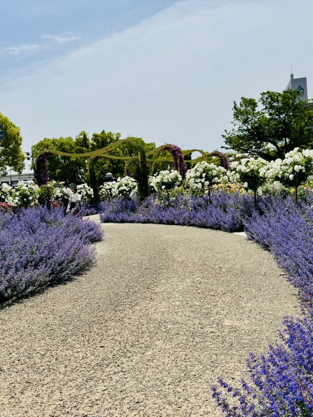 薔薇だらけの世界バラ会議
