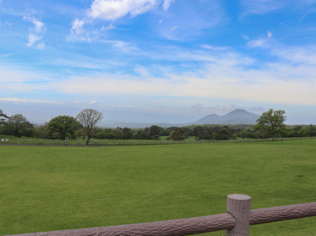 【鳥取県】 名峰「大山」の麓に広がる大自然豊かな牧場『大山まきばみるくの里』🐄