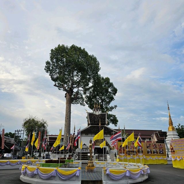 🪷ไหว้พระ | วัดเจดีย์หลวง เชียงใหม่ 🪷
