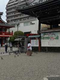 ขอพรที่Osu Kannon (Kitanosan Shinpuku-ji Hoshoin)🇯🇵