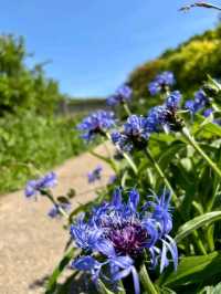Between Monknash and Southerndown – A Coastal Hike That Stays With You