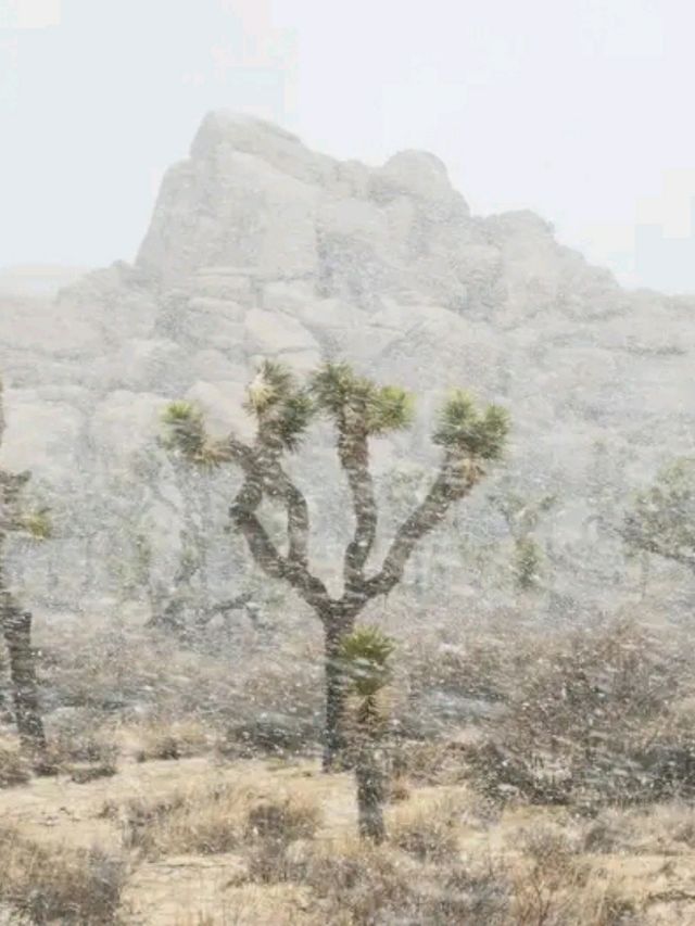 Iconic Views from Keys View: Joshua Tree’s Must-See Landmark