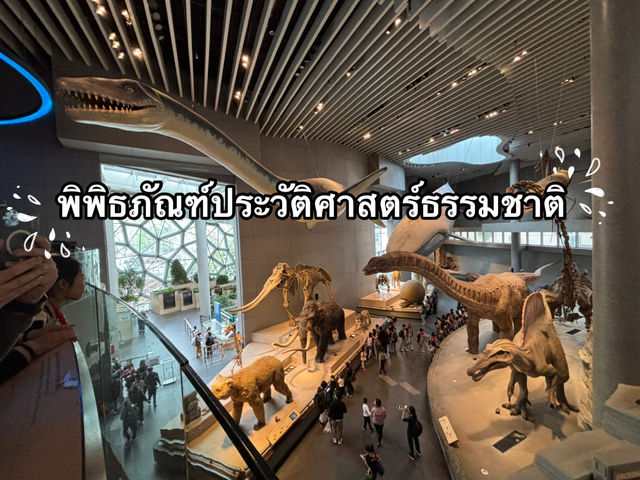 พิพิธภัณฑ์ประวัติศาสตร์ธรรมชาติเซี่ยงไฮ้