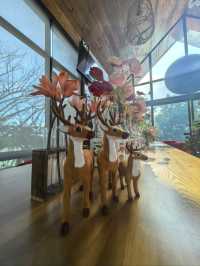 คาเฟ่ลับกลางสวนที่ตากฟ้า 