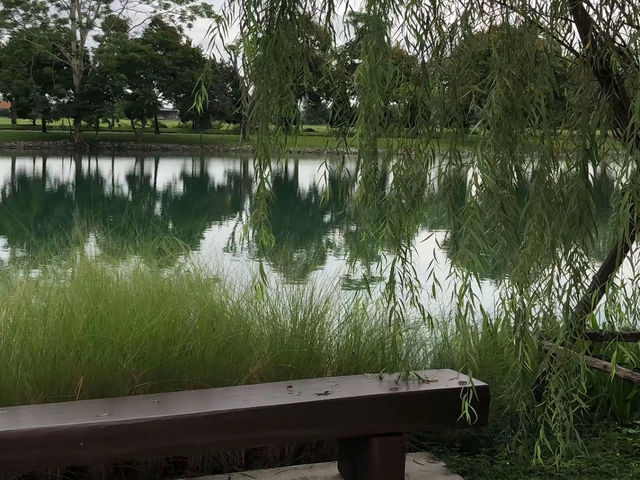 🌿 Something Journey – เชียงราย คาเฟ่สไตล์นอร์ดิก