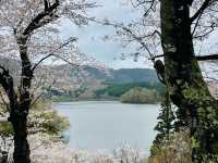 The amazing Oyama Park