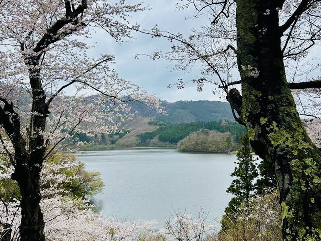 The amazing Oyama Park