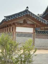 🏯 시간을 거슬러 걷는 하루, 경복궁🤍