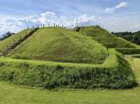 The Ōyasuba Kofun