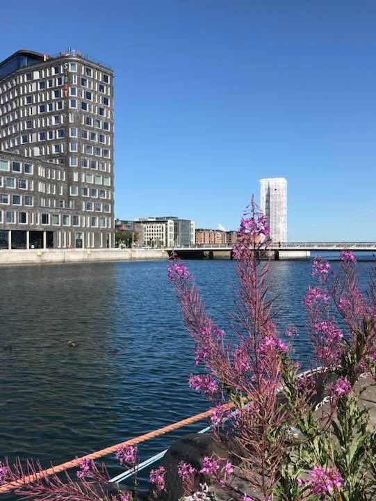 Modern vibes meet historic charm in Malmö 🇸🇪