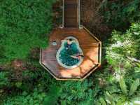 ‘Lan Na Wild’ ..สวรรค์กลางป่าใหญ่บนยอดดอย
