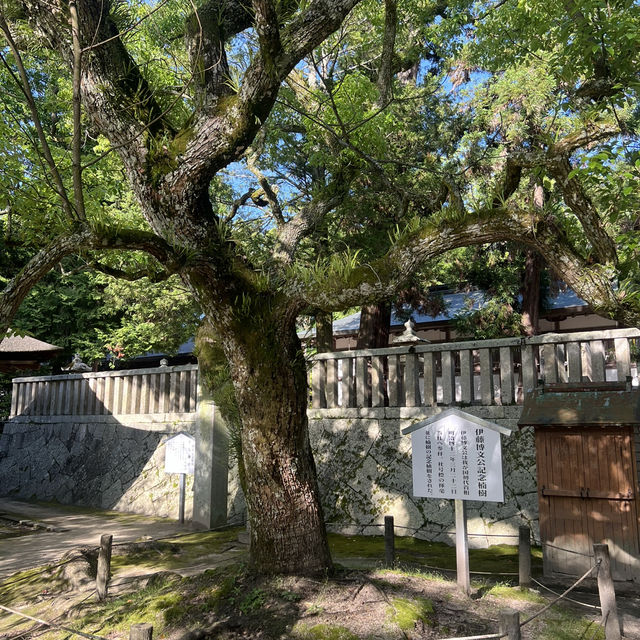 【愛媛】大山祇神社(おおやまづみじんじゃ)