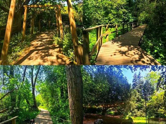 Where Spring Hides in Petals – Fletcher Moss Botanical Garden