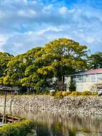 Odawara Castle – A Samurai Stronghold with Scenic Views