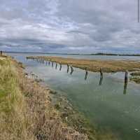 Isle of Wight, South Coast