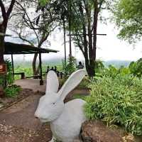 คาเฟ่อุทยานฯ จุดชมวิวเขา วิวทะเลหมอก