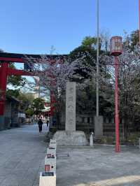 ⛩️**【富岡八幡宮】 江戸の粋とパワーが息づく、深川の誇り** 