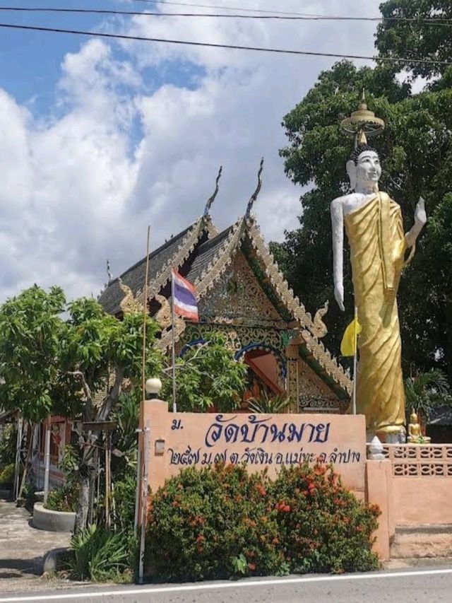 Wat Ban Mai วัดบ้านมาย สถานที่ดูดวงแม่นๆ