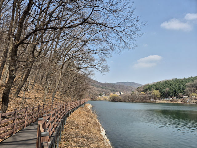 🌿 호수 위를 걷다, 파주 마장호수에서의 하루 🌉