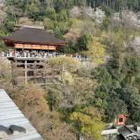 Otowa Waterfall in 2026