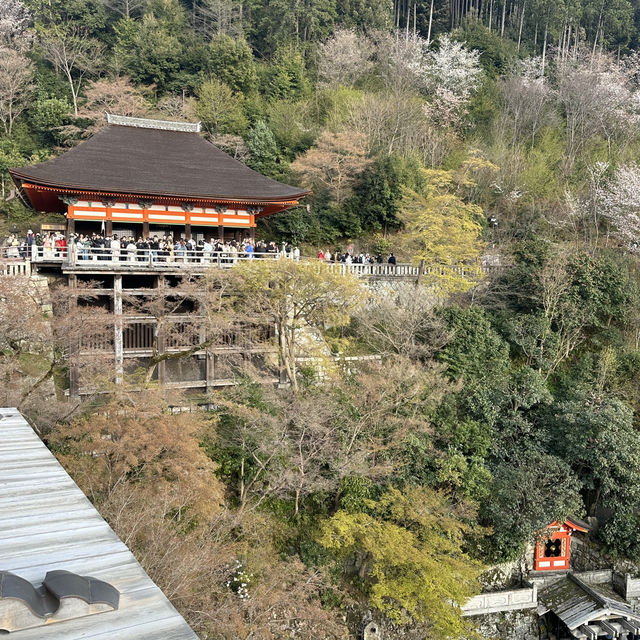 Otowa Waterfall in 2026