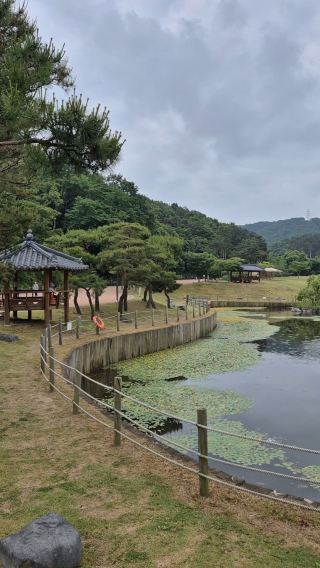 🌱 아이와 함께하는 자연 체험, 초막골생태공원 주말 나들이 🌱