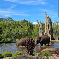 Australia Zoo – Sunshine Coast, QLD