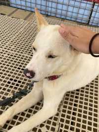 【雨の日でも行ける！宮古島穴場スポットで動物と触れ合い体験】  