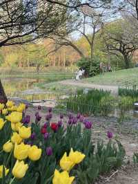 Seoul forest 서울숲 