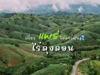 ขับรถเที่ยวหน้าฝน… ชมวิวถนนลอยฟ้า​ 