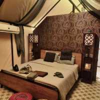 🏕️ชวนไปนอนเตนท์เขาใหญ่ “ดิ แอร์ เขาใหญ่“