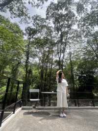 คาเฟ่ที่กำลังมาแรงที่เขาใหญ่ ที่ต้องแวะ