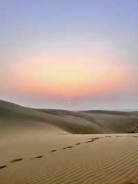 🏜✨ Golden Dreams in Jaisalmer, India ✨🏜