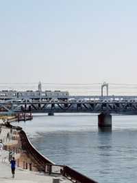 เดินเล่นริมน้ำ Sumida