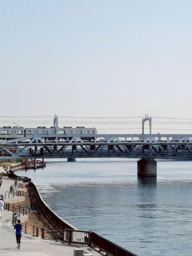 เดินเล่นริมน้ำ Sumida