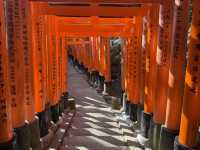 🍵 京都旅行 攻略ガイド｜伝統と感性が息づく街