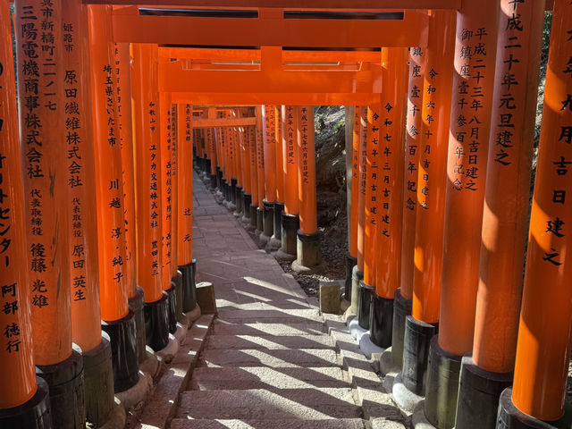 🍵 京都旅行 攻略ガイド｜伝統と感性が息づく街