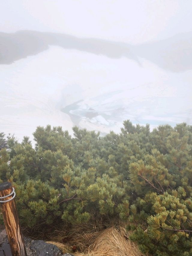 Alpine Route in June