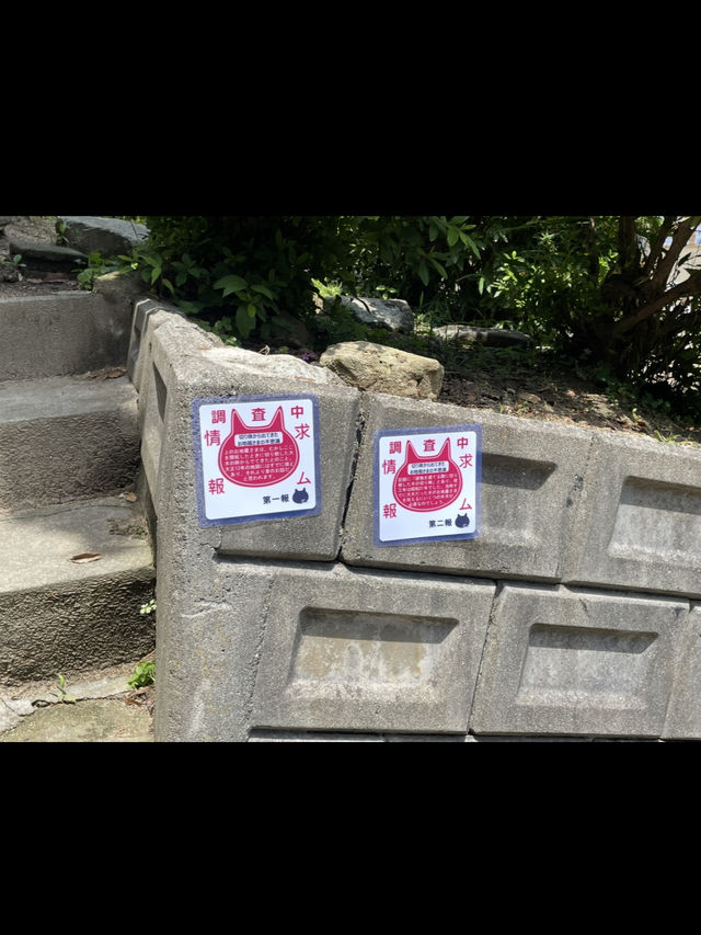 轉角遇到貓-在尾道貓咪小徑與貓貓不期而遇