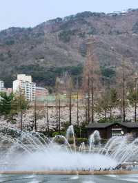 사계절 내내 나들이하기 좋은 김해연지공원⚘️