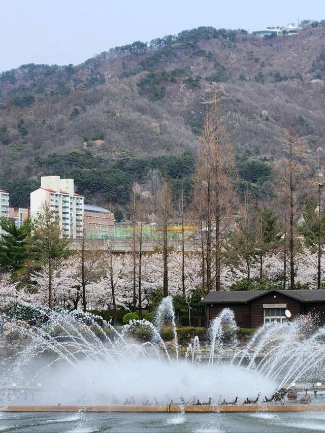 사계절 내내 나들이하기 좋은 김해연지공원⚘️