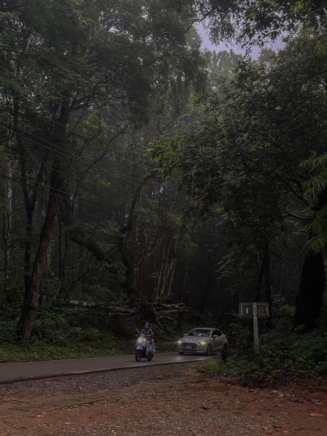 ขับรถเที่ยวดอยปุย จ.เชียงใหม่ ⛰️🌧️🌳🏍️