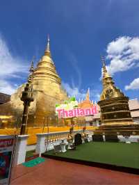 One day trip old city Chiangmai ✅