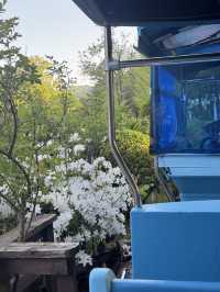 🚂 춘천 당일치기 여행코스 🌳 남이섬부터 떡볶이까지 완벽 루트!