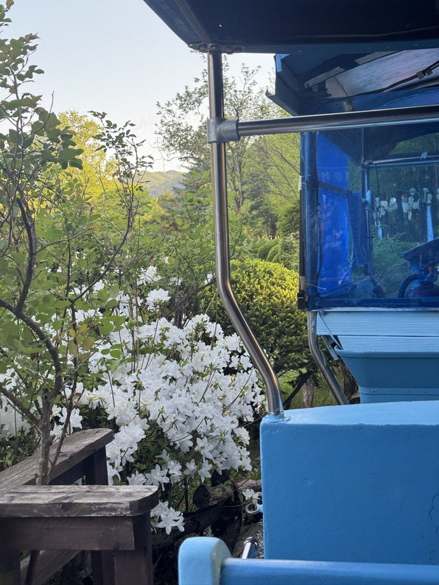 🚂 춘천 당일치기 여행코스 🌳 남이섬부터 떡볶이까지 완벽 루트!