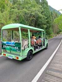 天下山峰何其多  唯有此處峰成林