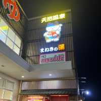♨️ Our First Soak in Tohoku – A Warm Welcome at Manekinoyu