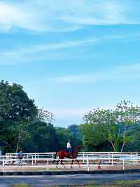 Trot into Tranquility at 3S Equestrian