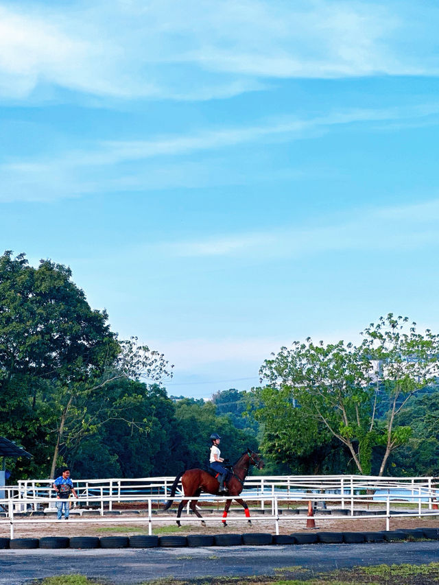 Trot into Tranquility at 3S Equestrian